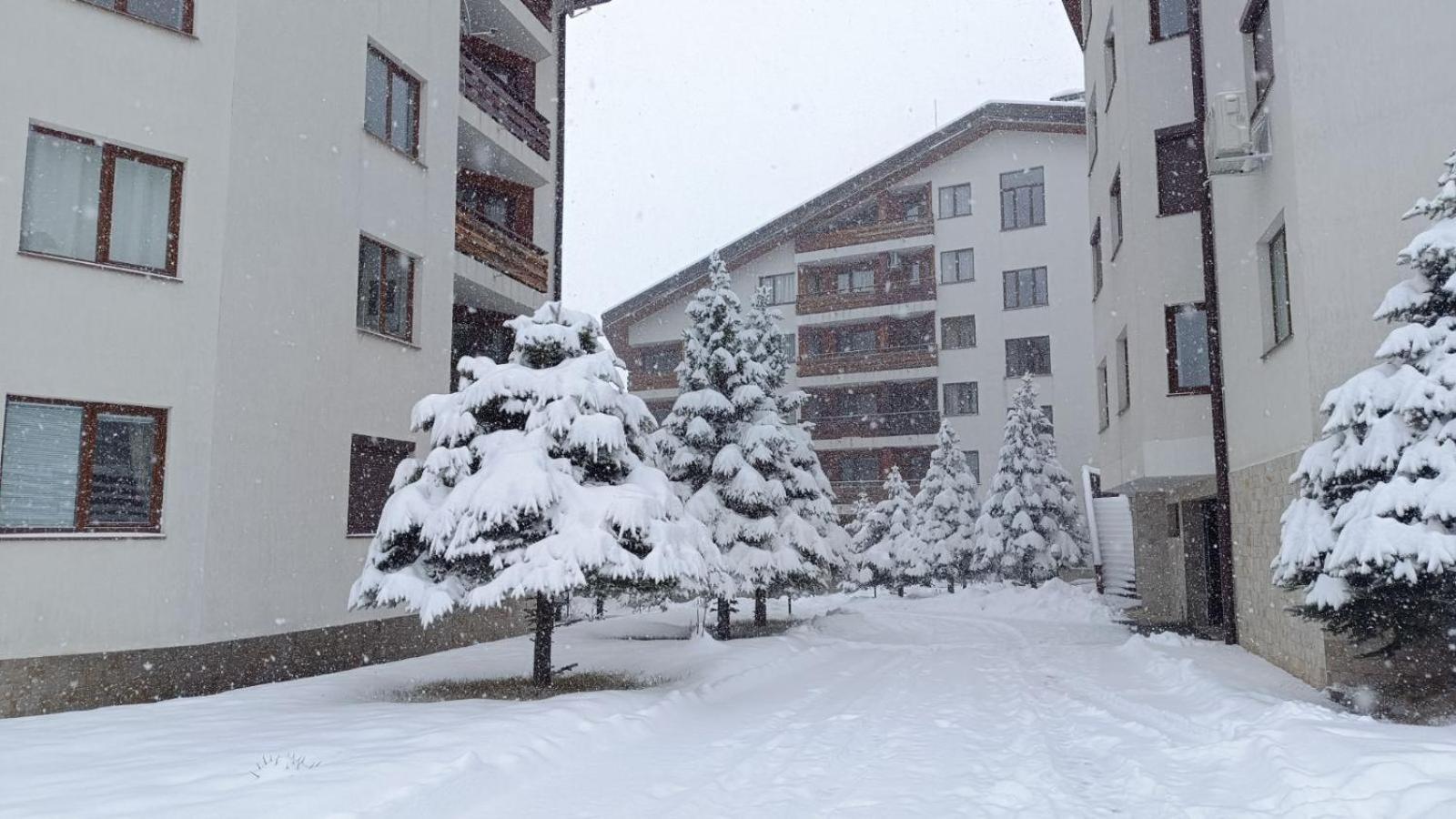 Apartment Detelina Residence Bansko Exteriör bild