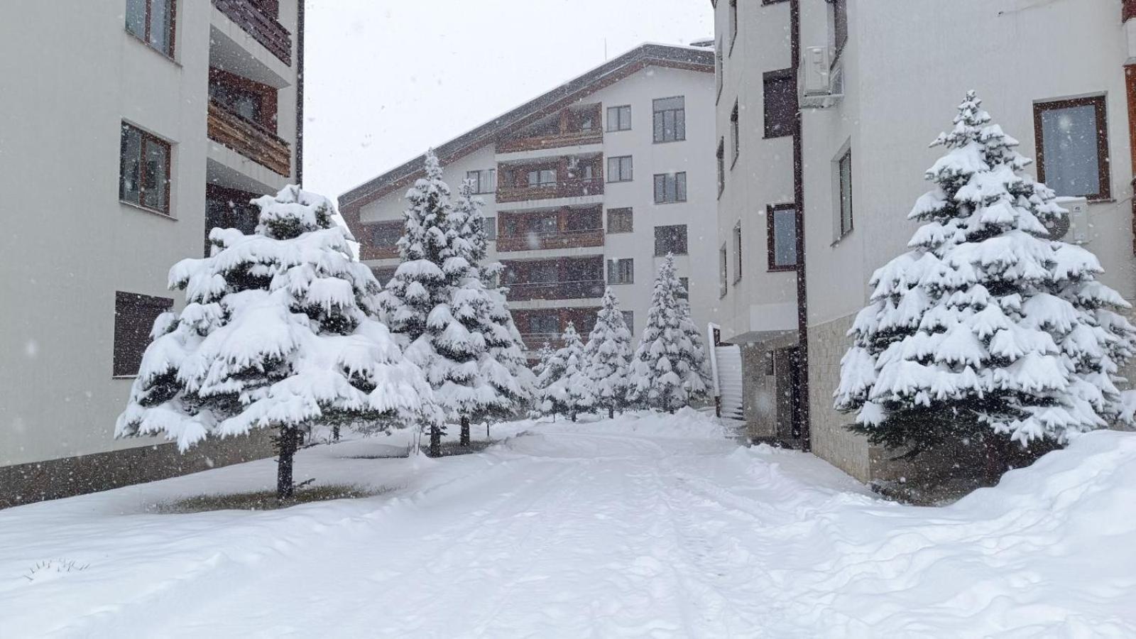 Apartment Detelina Residence Bansko Exteriör bild