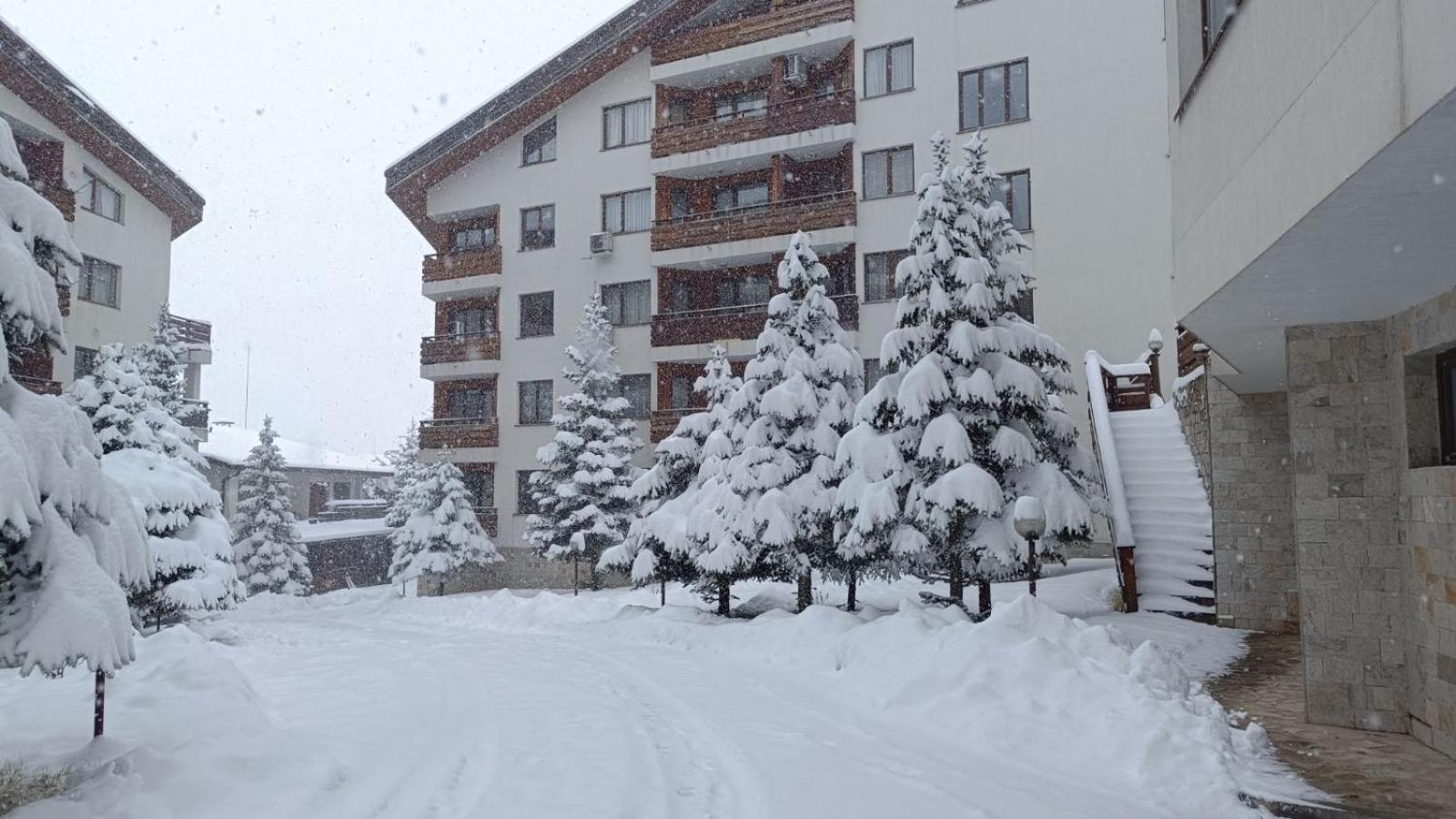 Apartment Detelina Residence Bansko Exteriör bild