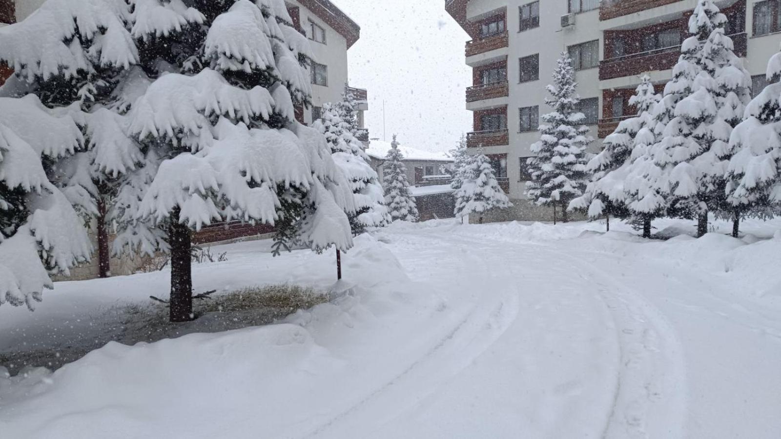 Apartment Detelina Residence Bansko Exteriör bild