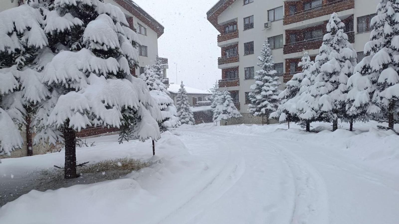 Apartment Detelina Residence Bansko Exteriör bild
