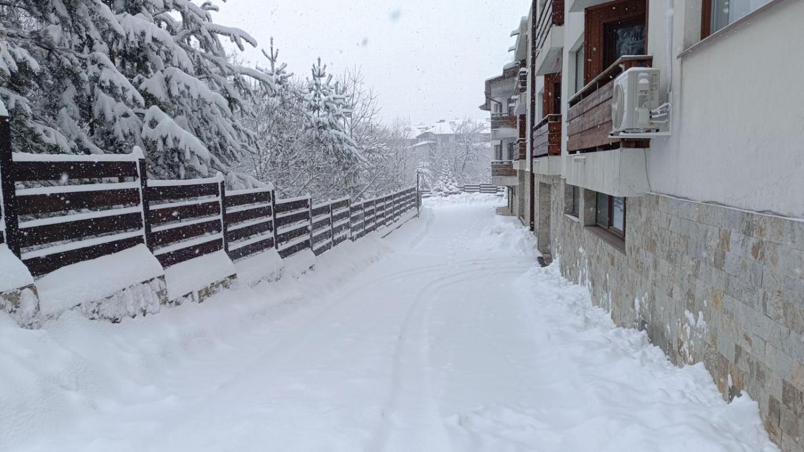 Apartment Detelina Residence Bansko Exteriör bild