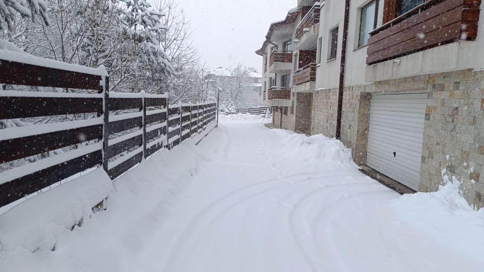 Apartment Detelina Residence Bansko Exteriör bild
